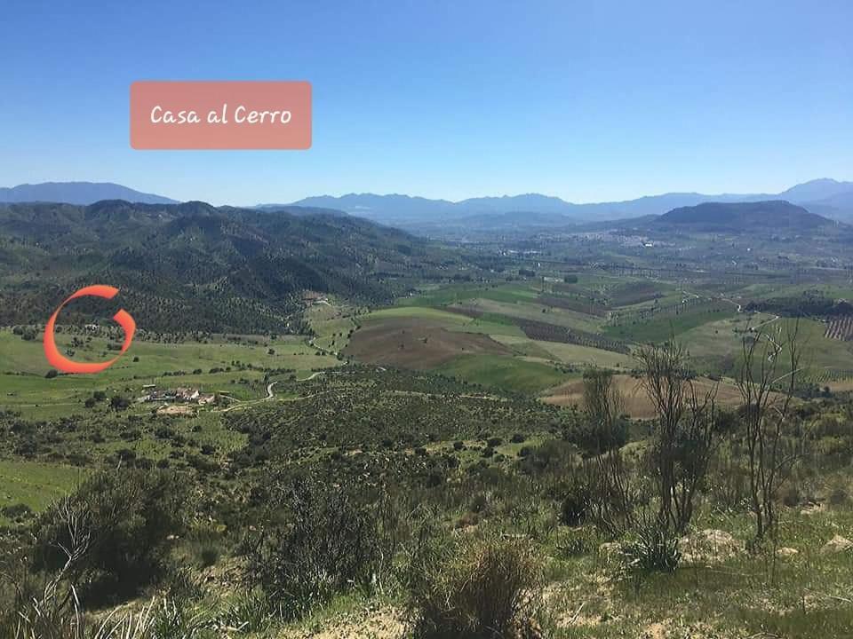 埃尔乔罗Casa Al Cerro公寓 外观 照片
